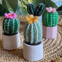 Lade das Bild in den Galerie-Viewer, Gehäkelte Kakteen mit Blüten