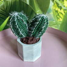 Lade das Bild in den Galerie-Viewer, Kleiner gehäkelter Kaktus (doppelt) in einem Keramiktopf