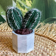Lade das Bild in den Galerie-Viewer, Kleiner gehäkelter Kaktus (doppelt) in einem Keramiktopf