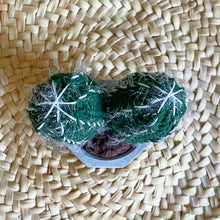 Lade das Bild in den Galerie-Viewer, Kleiner gehäkelter Kaktus (doppelt) in einem Keramiktopf von oben