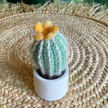Lade das Bild in den Galerie-Viewer, Kleiner gehäkelter Kaktus mit gelber Blüte im Keramiktopf