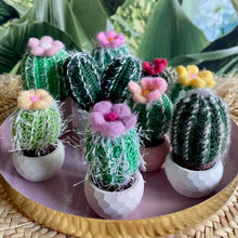 Lade das Bild in den Galerie-Viewer, Tablett mit gehäkelten Mini Kakteen die blühen