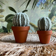 Lade das Bild in den Galerie-Viewer, Kaktus