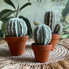 Lade das Bild in den Galerie-Viewer, Kaktus
