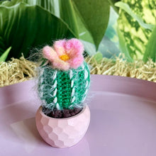 Load image into Gallery viewer, Kleiner gehäkelter Kaktus im rosafarbenen Keramiktopf mit rosa-gelber Blüte. 

